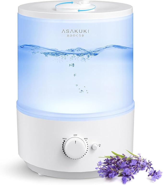 Best Humidifiers for Home & Bedroom
